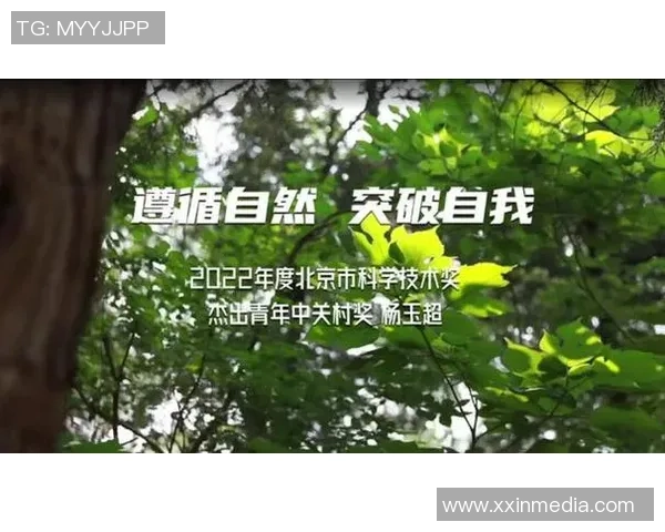 成都羽毛球队进攻革新之路:探索新战术与技术提升的全面分析